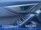 2024 Subaru WRX Base